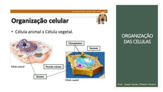 ORGANIZAÇÃO
DAS CELULAS
Prof. Ayana Karine Oliveira Pereira
 