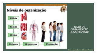 NIVEIS DE
ORGANIZAÇÃO
DOS SERES VIVOS
Prof. Ayana Karine Oliveira Pereira
 