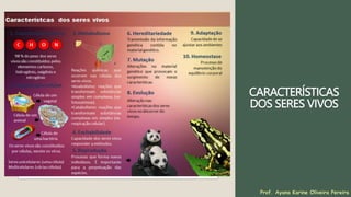 CARACTERÍSTICAS
DOS SERES VIVOS
Prof. Ayana Karine Oliveira Pereira
 