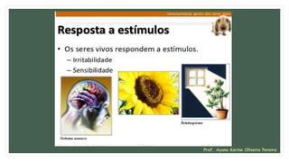 Prof. Ayana Karine Oliveira Pereira
 