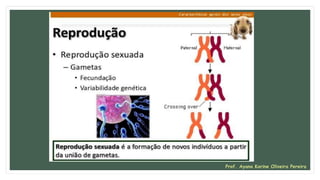 Prof. Ayana Karine Oliveira Pereira
 