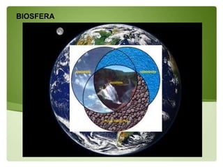 BIOSFERA
 