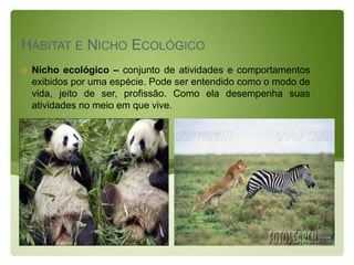HÁBITAT E NICHO ECOLÓGICO
   Nicho ecológico – conjunto de atividades e comportamentos
    exibidos por uma espécie. Pode ser entendido como o modo de
    vida, jeito de ser, profissão. Como ela desempenha suas
    atividades no meio em que vive.
 