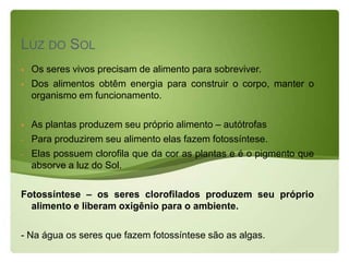 LUZ DO SOL
   Os seres vivos precisam de alimento para sobreviver.
   Dos alimentos obtêm energia para construir o corpo, manter o
    organismo em funcionamento.

   As plantas produzem seu próprio alimento – autótrofas
-   Para produzirem seu alimento elas fazem fotossíntese.
-   Elas possuem clorofila que da cor as plantas e é o pigmento que
    absorve a luz do Sol.

Fotossíntese – os seres clorofilados produzem seu próprio
  alimento e liberam oxigênio para o ambiente.

- Na água os seres que fazem fotossíntese são as algas.
 
