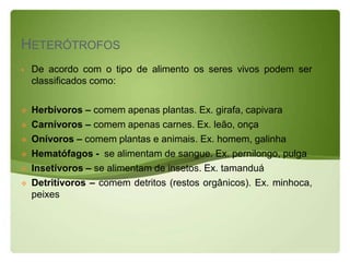 HETERÓTROFOS
   De acordo com o tipo de alimento os seres vivos podem ser
    classificados como:

   Herbívoros – comem apenas plantas. Ex. girafa, capivara
   Carnívoros – comem apenas carnes. Ex. leão, onça
   Onívoros – comem plantas e animais. Ex. homem, galinha
   Hematófagos - se alimentam de sangue. Ex. pernilongo, pulga
   Insetívoros – se alimentam de insetos. Ex. tamanduá
   Detritívoros – comem detritos (restos orgânicos). Ex. minhoca,
    peixes
 
