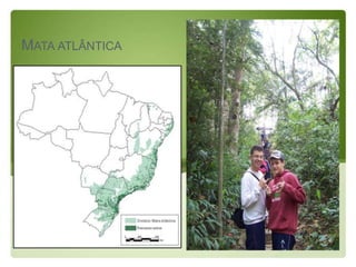 MATA ATLÂNTICA
 