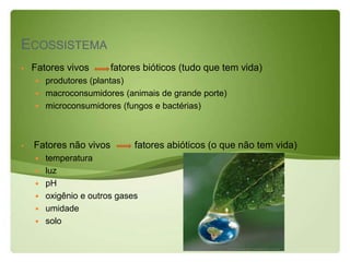ECOSSISTEMA
   Fatores vivos       fatores bióticos (tudo que tem vida)
     produtores (plantas)
     macroconsumidores (animais de grande porte)
     microconsumidores (fungos e bactérias)




   Fatores não vivos         fatores abióticos (o que não tem vida)
       temperatura
       luz
       pH
       oxigênio e outros gases
       umidade
       solo
 
