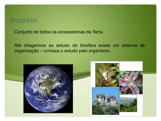 BIOSFERA
   Conjunto de todos os ecossistemas da Terra.

   Até chegarmos ao estudo da biosfera existe um sistema de
    organização – começa o estudo pelo organismo.
 