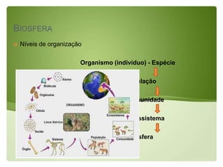 BIOSFERA
   Níveis de organização

                        Organismo (indivíduo) - Espécie

                                      População

                                       Comunidade

                                       Ecossistema

                                       Biosfera
 