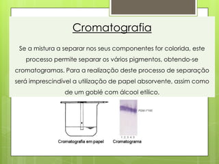 Cromatografia
 Se a mistura a separar nos seus componentes for colorida, este
   processo permite separar os vários pigmentos, obtendo-se
cromatogramas. Para a realização deste processo de separação
será imprescindível a utilização de papel absorvente, assim como
                de um goblé com álcool etílico.
 