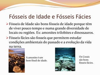 Marcas fósseisMumificaçãoTodo ou grande parte do seu corpo fica conservado incluindo as partes moles.