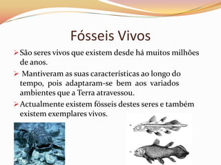 Depois da sua morte o ser vivo é envolvido por uma substância (ex: o gelo) que permite a conservação do corpo.