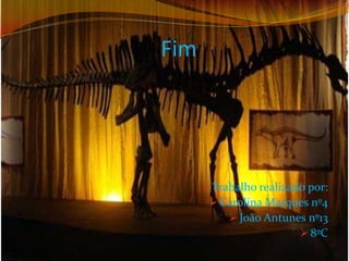 Exemplos de mumificação: