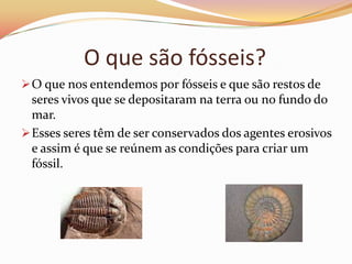 O que são fósseis?O que nos entendemos por fósseis e que são restos de seres vivos que se depositaram na terra ou no fundo do mar.
