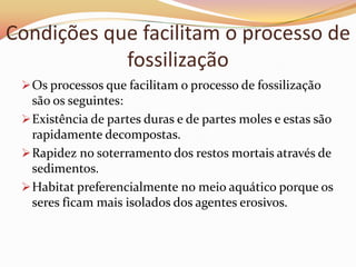 Condições que facilitam o processo de fossilização Os processos que facilitam o processo de fossilização são os seguintes: