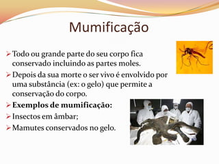 Rapidez no soterramento dos restos mortais através de sedimentos.