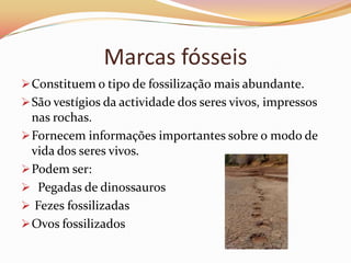 Mineralização