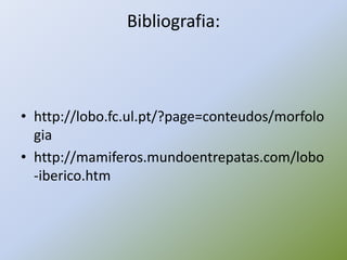 Bibliografia:
• http://lobo.fc.ul.pt/?page=conteudos/morfolo
gia
• http://mamiferos.mundoentrepatas.com/lobo
-iberico.htm
 