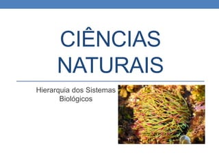 CIÊNCIAS
NATURAIS
Hierarquia dos Sistemas
Biológicos
 