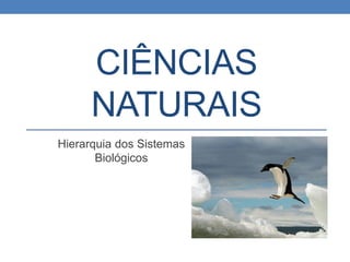 CIÊNCIAS
NATURAIS
Hierarquia dos Sistemas
Biológicos
 