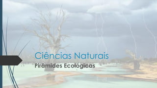 Ciências Naturais
Pirâmides Ecológicas

 