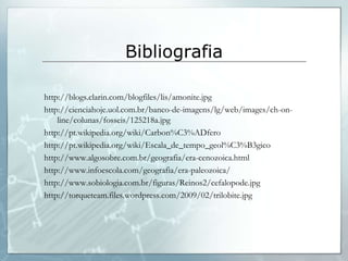Bibliografia

http://blogs.clarin.com/blogfiles/lis/amonite.jpg
http://cienciahoje.uol.com.br/banco-de-imagens/lg/web/images/ch-on-
    line/colunas/fosseis/125218a.jpg
http://pt.wikipedia.org/wiki/Carbon%C3%ADfero
http://pt.wikipedia.org/wiki/Escala_de_tempo_geol%C3%B3gico
http://www.algosobre.com.br/geografia/era-cenozoica.html
http://www.infoescola.com/geografia/era-paleozoica/
http://www.sobiologia.com.br/figuras/Reinos2/cefalopode.jpg
http://torqueteam.files.wordpress.com/2009/02/trilobite.jpg
 
