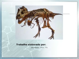 Trabalho elaborado por:
           João Martins – Nº14 – 7ºA
 