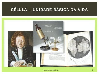 CÉLULA – UNIDADE BÁSICA DA VIDA




             Nuno Correia 2012/13   2
 