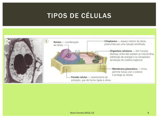 TIPOS DE CÉLULAS




     Nuno Correia 2012/13   6
 