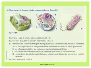 Nuno Correia 2012/13   7
 