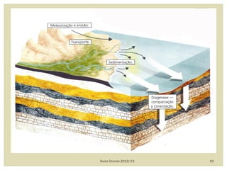 Nuno Correia 2012/13 10
 