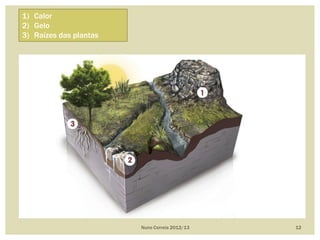 Nuno Correia 2012/13 12
1) Calor
2) Gelo
3) Raízes das plantas
 