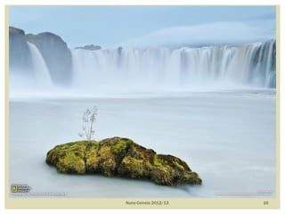 Nuno Correia 2012/13 16
 