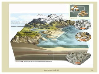 Nuno Correia 2012/13 21
 