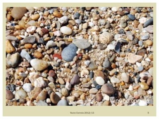 Nuno Correia 2012/13 5
 