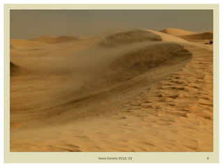 Nuno Correia 2012/13 6
 