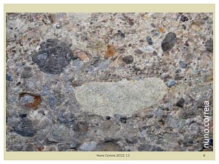 Nuno Correia 2012/13 8
 