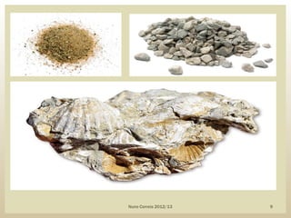 Nuno Correia 2012/13 9
 