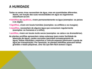 A HUMIDADE
Todos os seres vivos necessitam de água, mas em quantidades diferentes.
Assim, em função das suas necessidades em água os organismos
classificam-se em:
• hidrófilos ou aquáticos, vivem permanentemente na água (exemplos: os peixes
e as algas);

• higrófilos, vivem em locais húmidos (exemplos: os anfíbios e os musgos);
• mesófilos, necessitam de alguma água que consomem regularmente
(exemplos: os humanos e o milho);
• xerófilos, vivem em locais muito secos (exemplos: os catos e os dromedários).
As plantas xerófilas apresentam raízes extensas (para maior facilidade de
absorção de água), caules carnudos (permitem armazenamento de
água), folhas reduzidas a espinhos e cutícula espessa (diminuem a perda de
água por transpiração). Por oposição, as plantas hidrófilas possuem folhas
grandes e raízes pequenas, uma vez que têm fácil acesso à água.

 