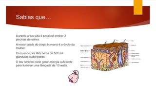 Sabias que…
Durante a tua vida é possível encher 2
piscinas de saliva.
A maior célula do corpo humano é o óvulo da
mulher.
Os nossos pés têm cerca de 500 mil
glândulas sudoríparas.
O teu cérebro pode gerar energia suficiente
para iluminar uma lâmpada de 10 watts.
 
