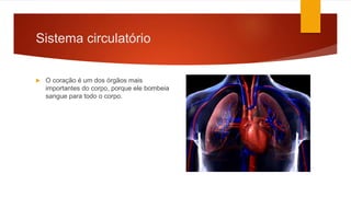 Sistema circulatório
 O coração é um dos órgãos mais
importantes do corpo, porque ele bombeia
sangue para todo o corpo.
 