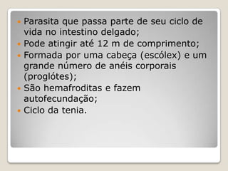    Parasita que passa parte de seu ciclo de
    vida no intestino delgado;
   Pode atingir até 12 m de comprimento;
   Formada por uma cabeça (escólex) e um
    grande número de anéis corporais
    (proglótes);
   São hemafroditas e fazem
    autofecundação;
   Ciclo da tenia.
 