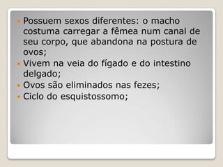 Possuem sexos diferentes: o macho
  costuma carregar a fêmea num canal de
  seu corpo, que abandona na postura de
  ovos;
 Vivem na veia do fígado e do intestino
  delgado;
 Ovos são eliminados nas fezes;
 Ciclo do esquistossomo;
 
