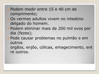  Podem medir entre 15 e 40 cm de
  comprimento;
 Os vermes adultos vivem no intestino
  delgado do homem.
 Podem eliminar mais de 200 mil ovos por
  dia (fezes);
 Pode causar problemas no pulmão e em
  outros
  orgãos, enjôo, cólicas, emagecimento, ent
  re outros.
 