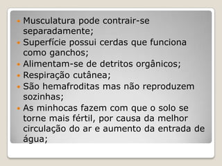    Musculatura pode contrair-se
    separadamente;
   Superfície possui cerdas que funciona
    como ganchos;
   Alimentam-se de detritos orgânicos;
   Respiração cutânea;
   São hemafroditas mas não reproduzem
    sozinhas;
   As minhocas fazem com que o solo se
    torne mais fértil, por causa da melhor
    circulação do ar e aumento da entrada de
    água;
 