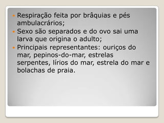  Respiração feita por brâquias e pés
  ambulacrários;
 Sexo são separados e do ovo sai uma
  larva que origina o adulto;
 Principais representantes: ouriços do
  mar, pepinos-do-mar, estrelas
  serpentes, lírios do mar, estrela do mar e
  bolachas de praia.
 