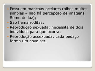  Possuem manchas ocelares (olhos muitos
  simples – não há percepção de imagens.
  Somente luz);
 São hemafroditas;
 Reprodução sexuada: necessita de dois
  indivíduos para que ocorra;
 Reprodução assexuada: cada pedaço
  forma um novo ser.
 