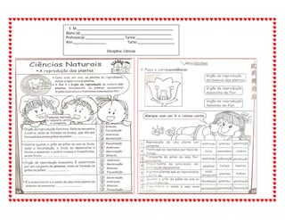 E. M.____________________________________________________
Aluno (a):_________________________________________________
Professor(a):_____________________ Turma:____________________
Ano:__________________ Turno:____________________
Disciplina: Ciências
 