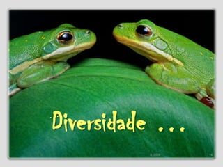 Diversidade …14IL 2009