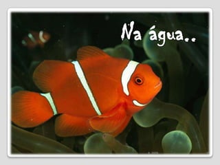 Na água..15IL 2009